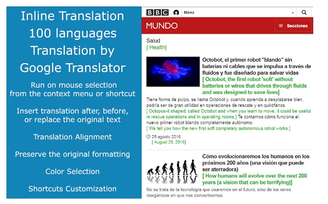 ImTranslator - a Google Chrome Translation Extension