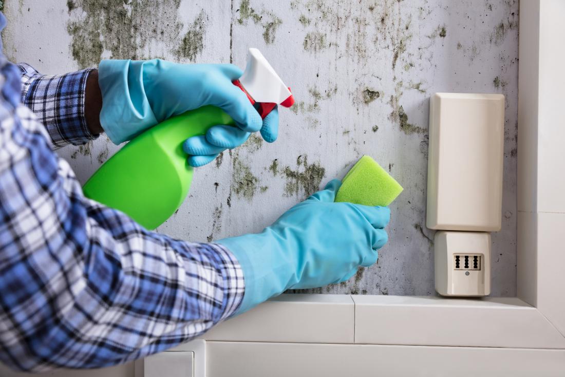 Health Hazards Caused By Molds In Your House